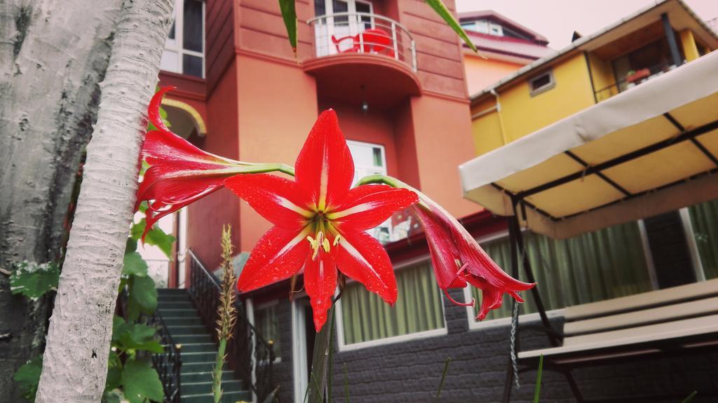Gold Guest House Gonio Zewnętrze zdjęcie